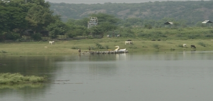 Damdama Lake